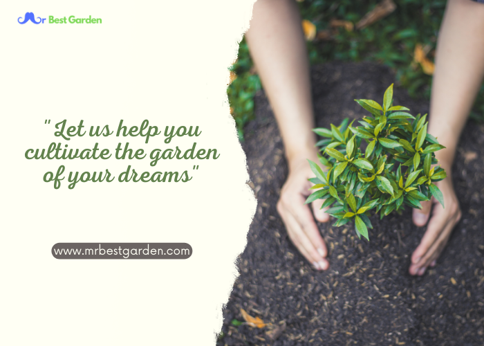 MrBestGarden.com – Your Go-To Site for Expert Gardening Product Reviews