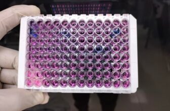 Magnetic Protein A Beads