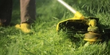Inside Information Regarding Lawn Care Services Orlando Fl