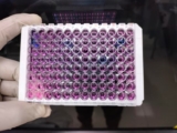 How to Improve Capture Speed With Magnetic Protein A Beads