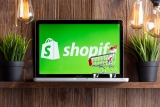 How To Check Theme of Any Shopify Store?