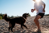 Fun within the Sun: 10 great games to play along with your dog this summer!